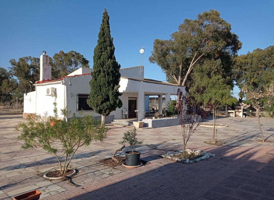 Revente - Villa - Torrellano