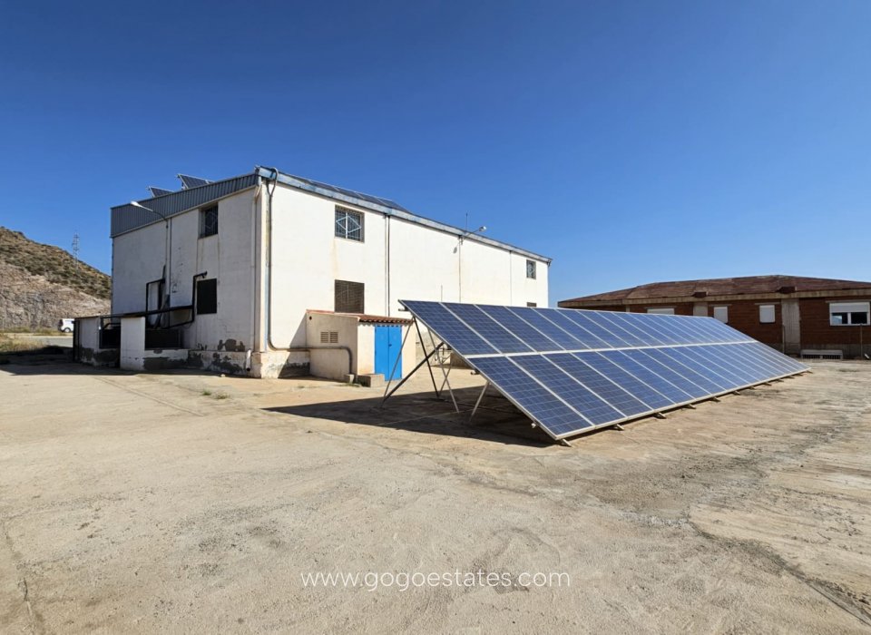 Rentabilidad guaranteed all year round with solar panels
